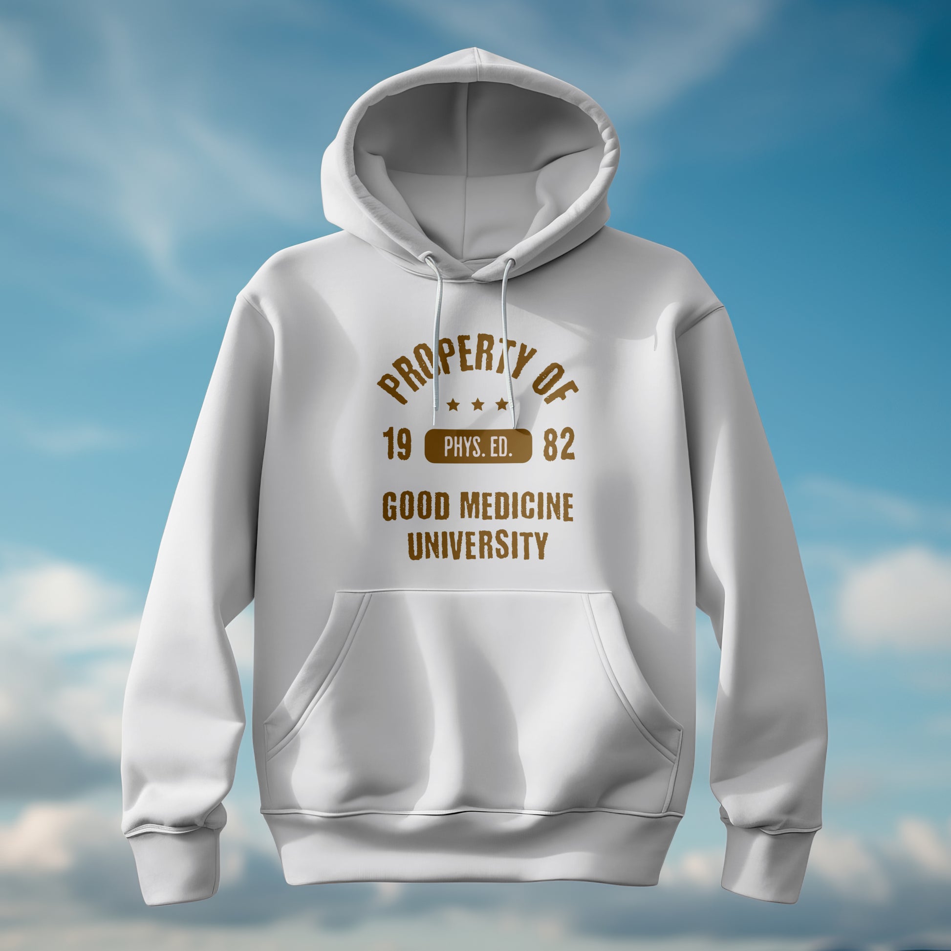 PROPERTY OF GOOD MEDICINE UNIVERSITY - HOODIE