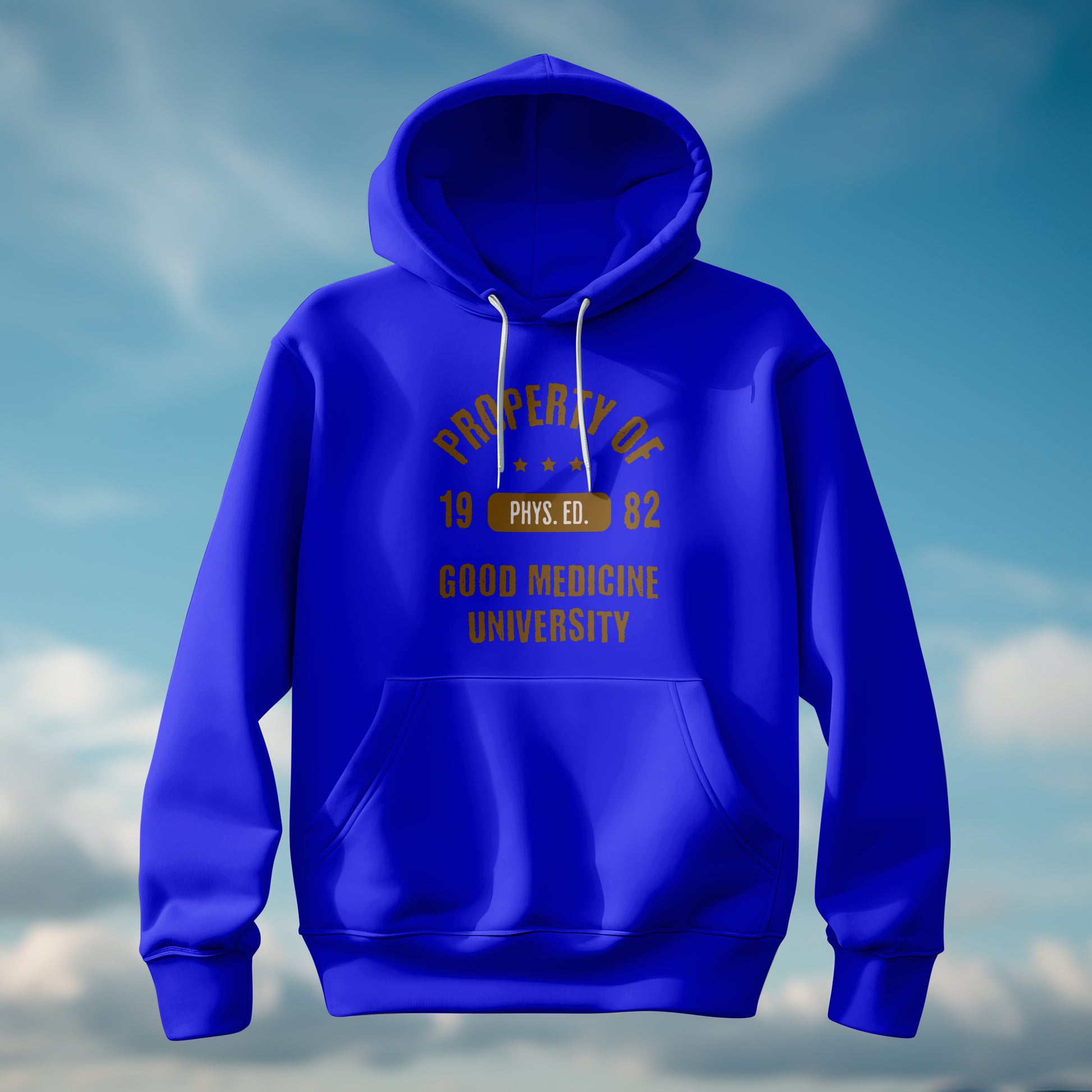 PROPERTY OF GOOD MEDICINE UNIVERSITY - HOODIE