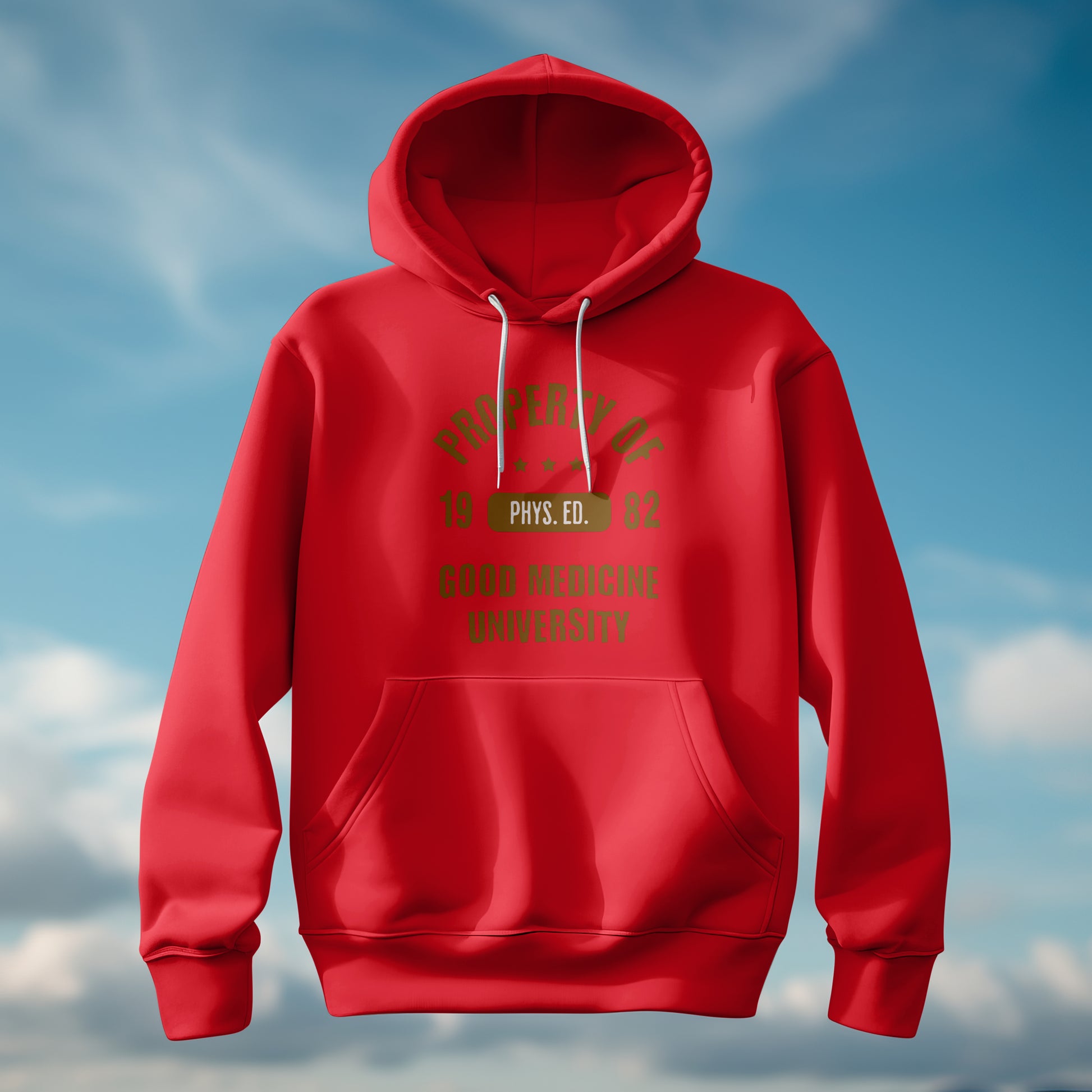 PROPERTY OF GOOD MEDICINE UNIVERSITY - HOODIE