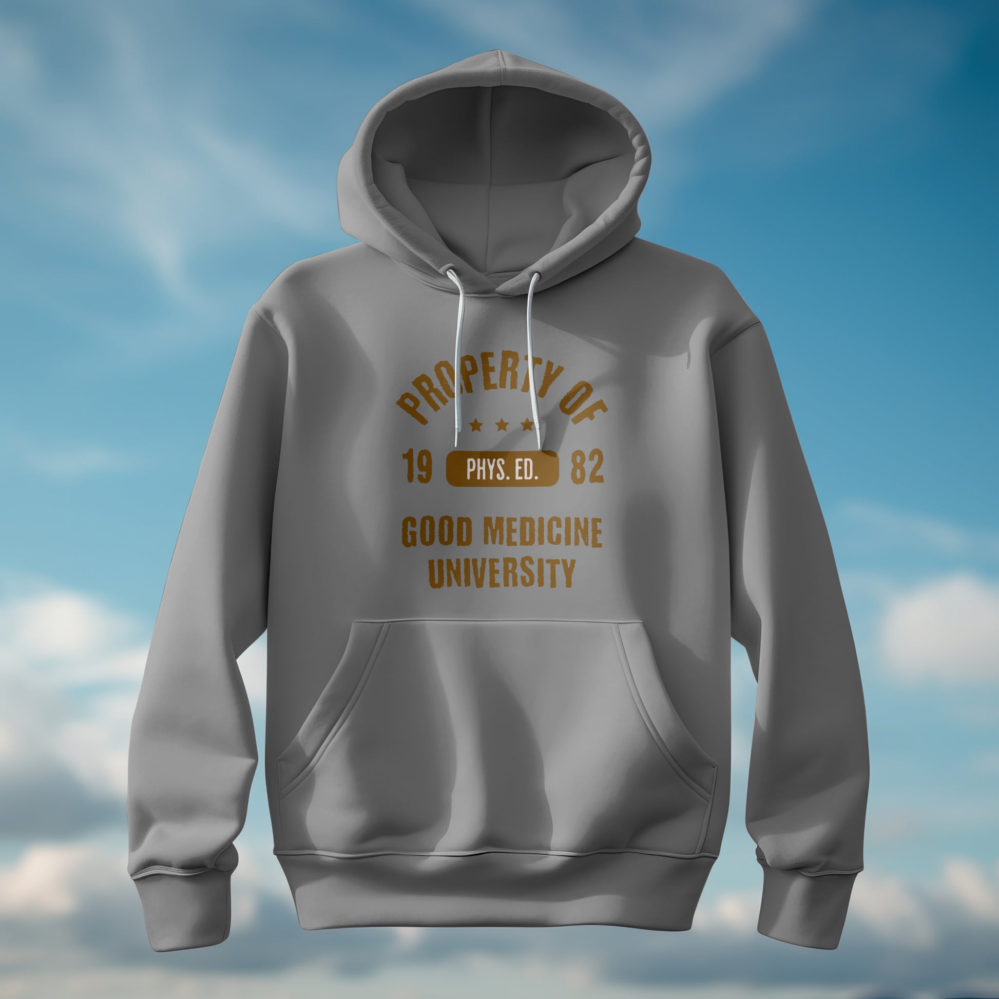 PROPERTY OF GOOD MEDICINE UNIVERSITY - HOODIE